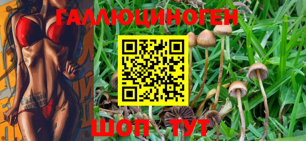 Галлюциногенные грибы Cubensis Ногинск