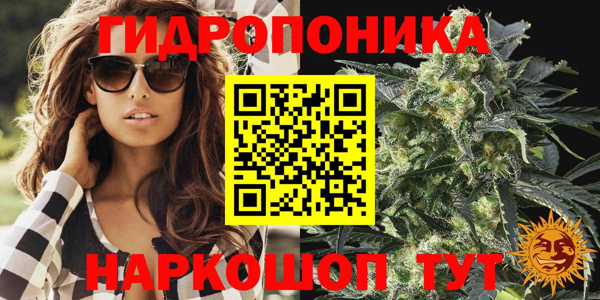 Конопля сатива Ногинск